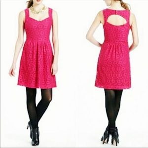 ANTHROPOLOGIE DELETTA Silverfield Lace Eyelet Dress—SZ. Large